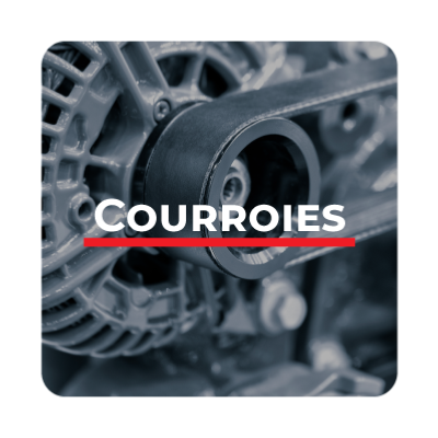 Vente de courroies de motoculteurs