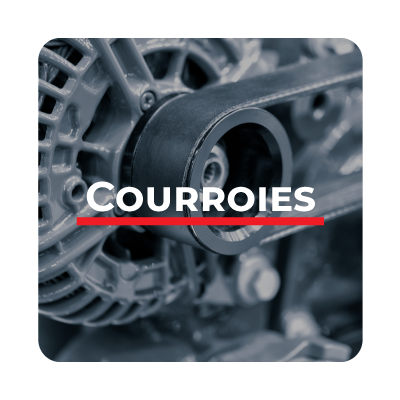 Courroies